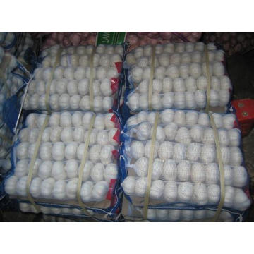 2015 New Crop Chinese White Peeled Garlic